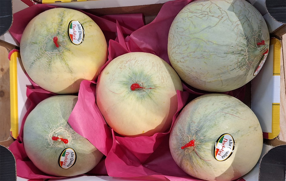 Melone liscio - Mantova - 3 euro al chilogrammo